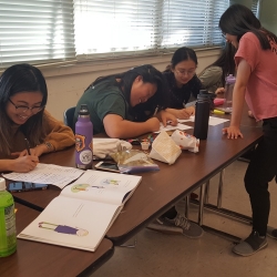 Students collaboring in a classroom